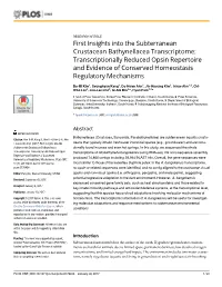 First Insights Into the Subterranean Crustacean Bathynellacea