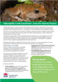 Adjungbilly Creek Catchment - Save Our Species Project