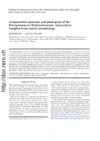 Comparative Anatomy and Phylogeny of the Forcipulatacea (Echinodermata: Asteroidea): Insights from Ossicle Morphology