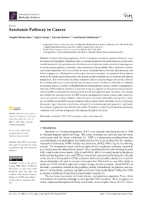 Serotonin Pathway in Cancer