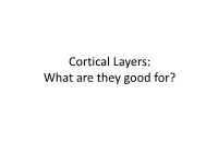 Cortical Layers: What Are They Good For? Neocortex