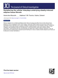 Deciphering the Cellular Interplays Underlying Obesity-Induced Adipose Tissue Fibrosis