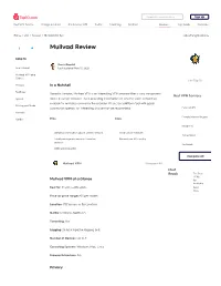Mullvad Review