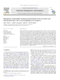 Phylogenetic Relationships of Phrynosomatid Lizards Based on Nuclear and Mitochondrial Data, and a Revised Phylogeny for Sceloporus