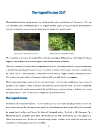 The Hogsmill in June 2017
