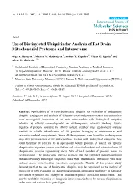 Use of Biotinylated Ubiquitin for Analysis of Rat Brain Mitochondrial Proteome and Interactome