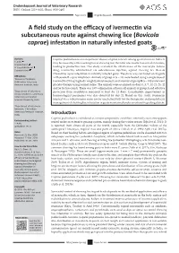 Bovicola Caprae) Infestation in Naturally Infested Goats