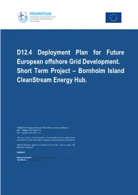 D12.4 Deployment Plan for Future European Offshore Grid Development