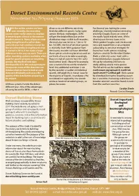 Dorset Building Stone Work Continues to Expand the Dorset Dorset Important Building Stone Website, Launched in Geological 2017
