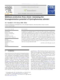 Methane Production from Oleate: Assessing the Bioaugmentation Potential of Syntrophomonas Zehnderi