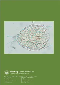 Report on the 2011 Biomonitoring Survey