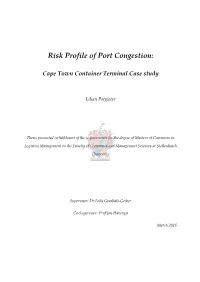 Risk Profile of Port Congestion
