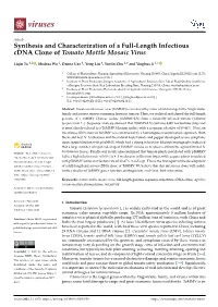 Synthesis and Characterization of a Full-Length Infectious Cdna Clone of Tomato Mottle Mosaic Virus