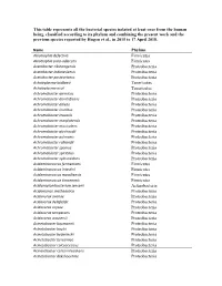 This Table Represents All the Bacterial Species Isolated at Least Once From