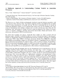 A Multiscale Approach to Understanding Calcium Toxicity in Australian Proteaceae