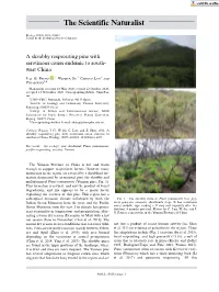 A Shrubby Resprouting Pine with Serotinous Cones Endemic to South- West China