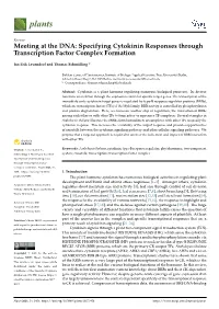 Meeting at the DNA: Specifying Cytokinin Responses Through Transcription Factor Complex Formation