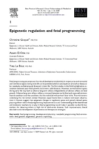 1 Epigenetic Regulation and Fetal Programming