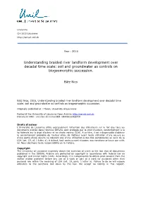 Understanding Braided River Landform Development Over Decadal Time Scale: Soil and Groundwater As Controls on Biogeomorphic Succession