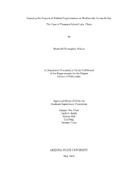 Assessing the Impacts of Habitat Fragmentation on Biodiversity Across Scales: the Case of Thousand Island Lake, China by Maxwel