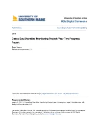 Casco Bay Shorebird Monitoring Project: Year Two Progress Report