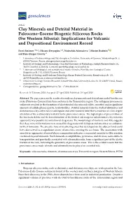 Clay Minerals and Detrital Material in Paleocene–Eocene Biogenic Siliceous Rocks (Sw Western Siberia): Implications for Volcanic and Depositional Environment Record