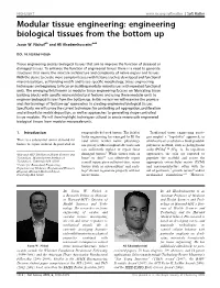 Engineering Biological Tissues from the Bottom Up
