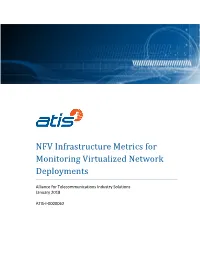 NFV Infrastructure Metrics for Monitoring Virtualized Network Deployments