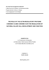 The Role of the Actin-Regulatory Proteins Coronin 1A and Coronin 1B in the Regulation of Natural Killer Cell Development and Function