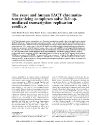 The Yeast and Human FACT Chromatin- Reorganizing Complexes Solve R-Loop- Mediated Transcription–Replication Conflicts
