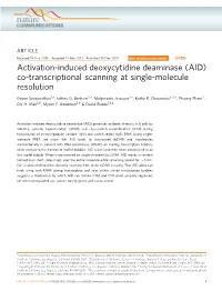 Activation-Induced Deoxycytidine Deaminase (AID) Co-Transcriptional Scanning at Single-Molecule Resolution