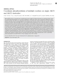 Coordinate Phosphorylation of Multiple Residues on Single AKT1 and AKT2 Molecules