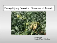 Demystifying Fusarium Diseases of Tomato