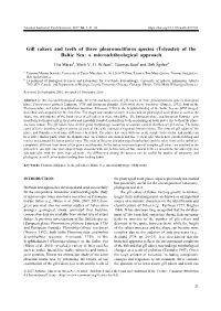 Gill Rakers and Teeth of Three Pleuronectiform Species (Teleostei) of the Baltic Sea: a Microichthyological Approach