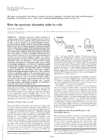 How the Protease Thrombin Talks to Cells