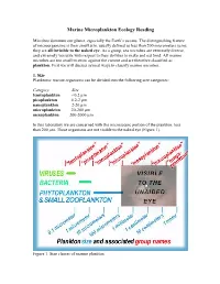 Marine Microplankton Ecology Reading