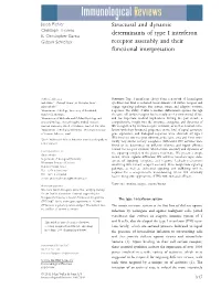 Structural and Dynamic Determinants of Type I Interferon Receptor