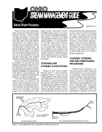 C. Natural Stream Processes