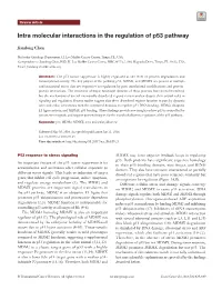 Intra Molecular Interactions in the Regulation of P53 Pathway