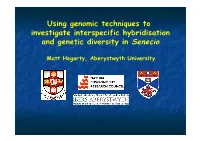 Using Genomic Techniques to Investigate Interspecific Hybridisation and Genetic Diversity in Senecio