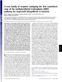 (MEP) Pathway for Isoprenoid Biosynthesis in Bacteria