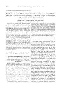 Postfledging Behavior of the Common Cuckoo (Cuculus Canorus