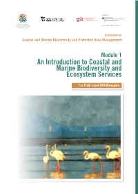 An Introduction to Coastal and Marine Biodiversity and Ecosystem Services