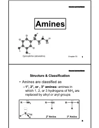 Basicity-Aromatic Amines