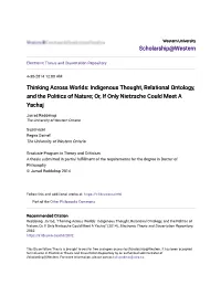 Indigenous Thought, Relational Ontology, and the Politics of Nature; Or, If Only Nietzsche Could Meet a Yachaj