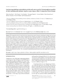 Leaf Micromorphology, Antioxidative Activity and a New Record of 3