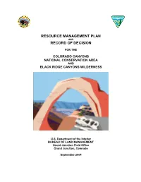 Mcinnis Canyons NCA Approved RMP Record of Decision