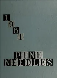 Pine Needles