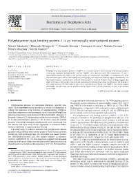 Polyglutamine Tract Binding Protein-1 Is an Intrinsically Unstructured Protein