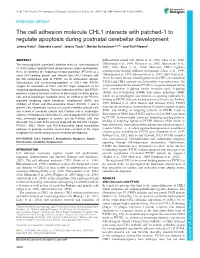 The Cell Adhesion Molecule CHL1 Interacts with Patched-1 to Regulate